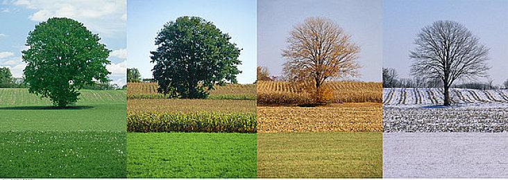 AMD FSR 3.0首批支持游戏有《魔咒之地》和《不朽者传奇》